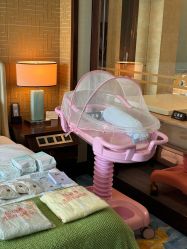 -臻康乃馨月子中心(凯宾斯基店)