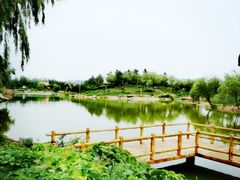 -通辽森林公园