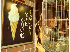 -古董花园(思南路42弄小区店)