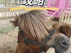 -盈香心动乐园