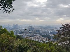 -火炉山森林公园