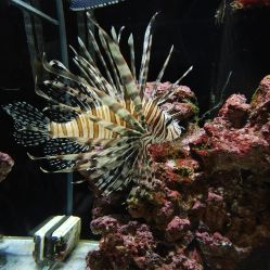 -Zoolung Zoolung动物主题公园(海信广场店)