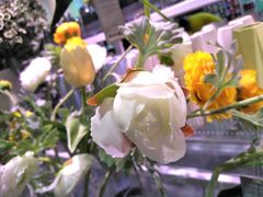 -KKV(上海月星环球港店)