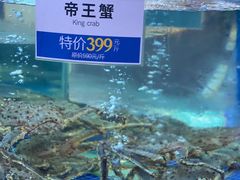 -欢乐海岸美食联盟