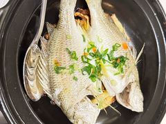 -酌宴府The China Club·广州万富希尔顿酒店(云城东路店)