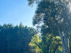 -长春净月潭风景名胜区
