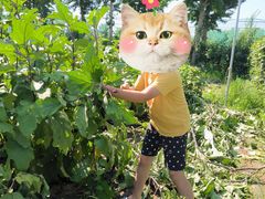 -意大利农场度假村