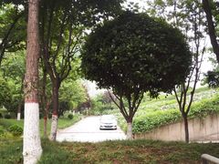 -陕西自然博物馆