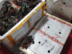 -凤凰路何眼镜香辣蟹(花果园店)