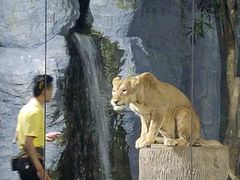 -清迈夜间动物园