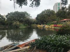 -晓港公园