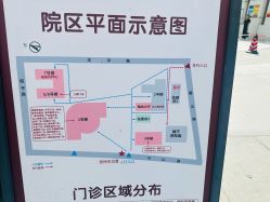 -中国福利会国际和平妇幼保健院(徐汇院区)