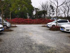 -嘉北郊野公园北游客中心-地上停车场