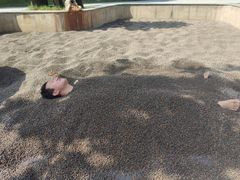 -三江森林温泉度假区