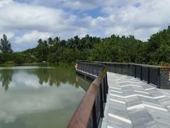 -东寨港红树林旅游区