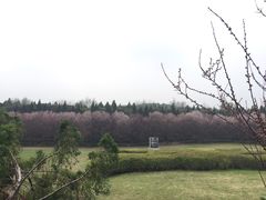景点-秦始皇帝陵博物院-丽山园