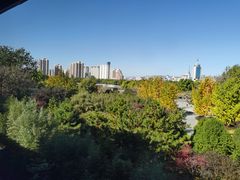 -北京云瑧金陵莲花酒店·莲·川小馆