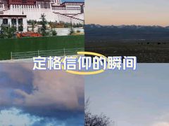 -布达拉宫