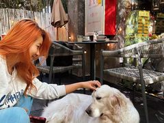 -咖法森林·咖啡  酒吧(天河店)