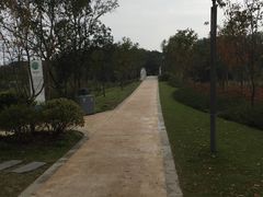 -昆山城市生态森林公园