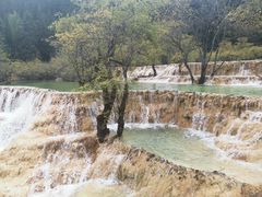 -黄龙山原始森林景区