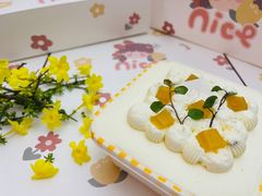 -山与蓝·轻糖鲜果蛋糕(勒泰店)