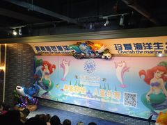 -成都浩海立方海洋公园