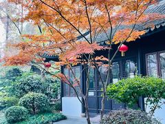 -亭林公园