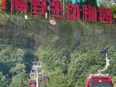 -栾川竹海野生动物园