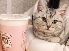 -厝内小眷村(正阳步行街店)