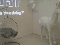 -深圳独角兽星空艺术馆