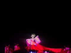 -《神游传奇》秀