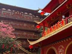 -越秀西湖花市(广州城市广场花卉店)