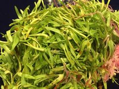 -淮安曙光国际大酒店(大运河广场花街店)