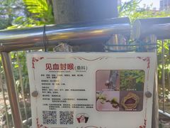 -广州神农草堂中医药博物馆