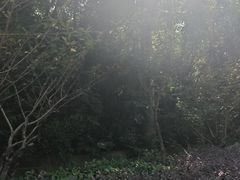 -青龙山国家森林公园