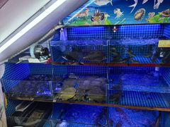 -吴掌柜·藕汤印象(南湖店)