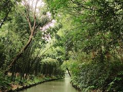 -同里国家湿地公园