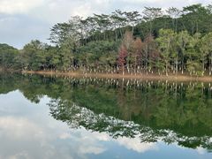 -凤岗南门山森林公园