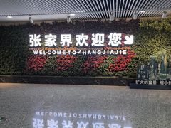 -张家界荷花国际机场