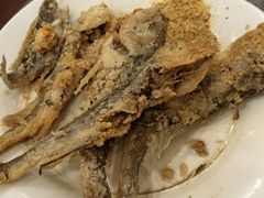 -山海关浑锅(秦皇岛首店)