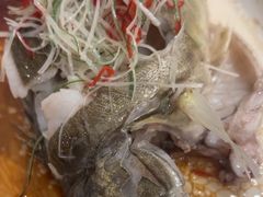 -大鹏饭店·金陵家宴(奥体中心店)