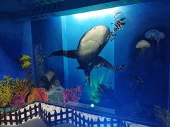 -船奇蒸汽海鲜·闽菜(八市海鲜总店)