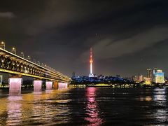 -黄鹤楼公园(黄鹤楼)