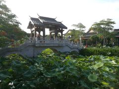 -惠州西湖丰渚园