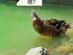 -滴水岩森林公园