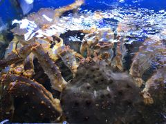 -船梆煮•蒸汽海鲜·生腌干蒸(五四广场店)