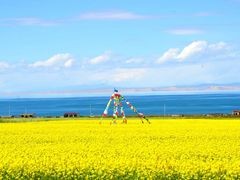 -青海湖国家重点风景名胜区