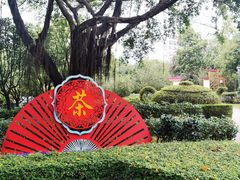 -金花茶公园