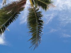 -白沙滩